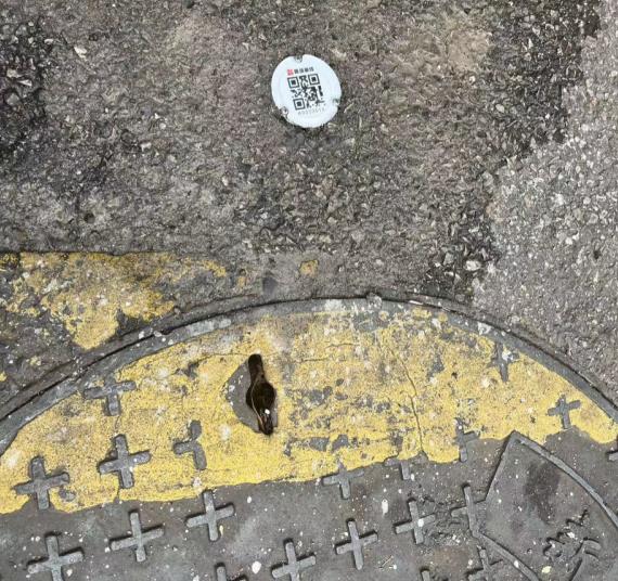 国产AV麻豆MAG剧集