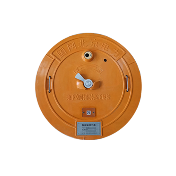 国网电子锁井盖