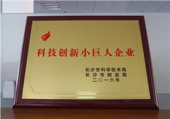 【喜报】新光智能荣获长沙市首批“科技创新小巨人企业”奖