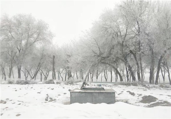 国产AV麻豆MAG剧集