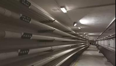 国产AV麻豆MAG剧集