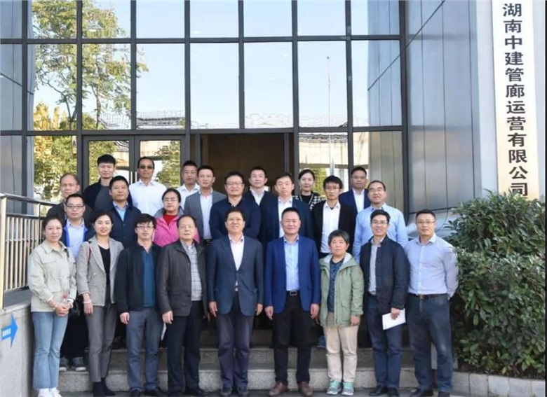 国产AV麻豆MAG剧集