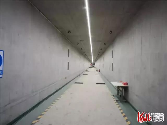 国产AV麻豆MAG剧集