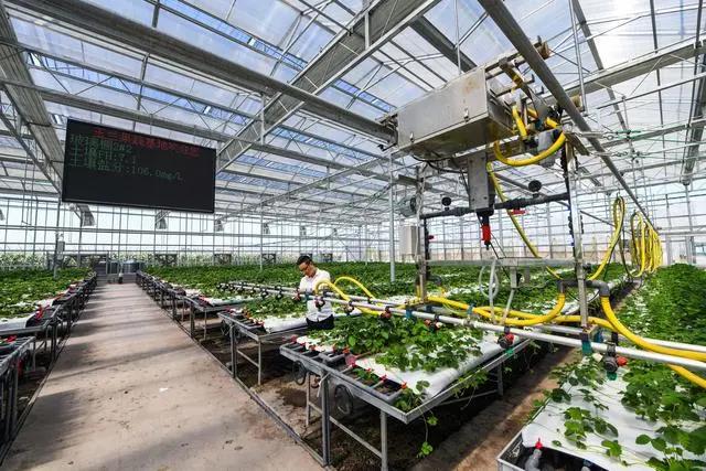 国产AV麻豆MAG剧集