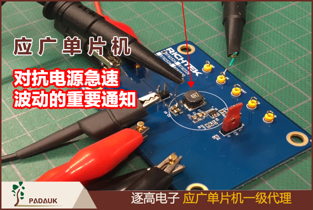 应该科技单片机PMC-APN006PMC150/153/156/166对抗电源急速波动的重要通知,遇电源急速波动(例如电源 被手动快速开关,或者是因为强烈的电源杂讯)